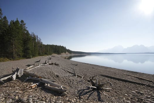 Yellowstone Grand Tetons