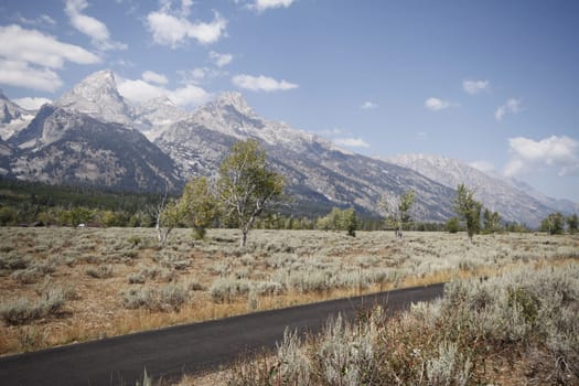 Yellowstone Grand Tetons