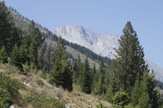 Yellowstone Grand Tetons