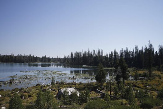 Yellowstone Grand Tetons