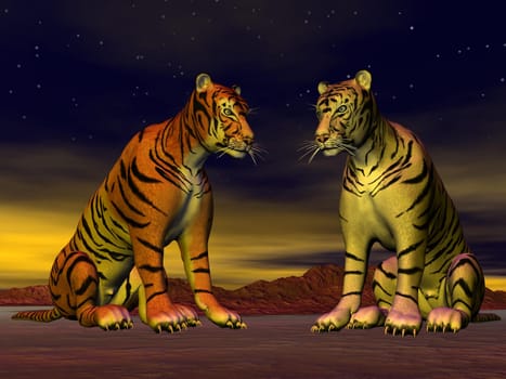 Two tigers, orange and white, sitting face to face in the desert by night