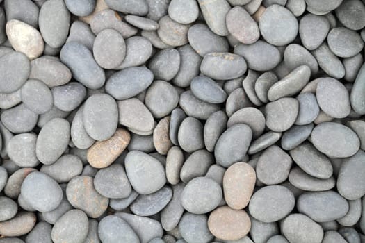 Pebble stone background (texture)