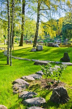 Garden in the Japanese style during autumn time