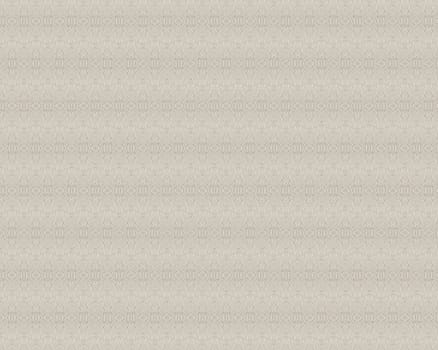 the beautiful pattern of a white paper surface