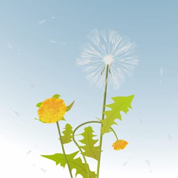 Decorative background card with dandelions stems, flowers and leaves