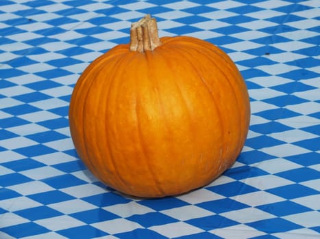 Pumpkin Blossom
