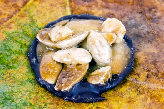 chocolate hazelnut almond, sugared mediterranean food dessert, Presented on a maple leaf