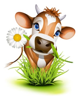 Jersey cow in green grass