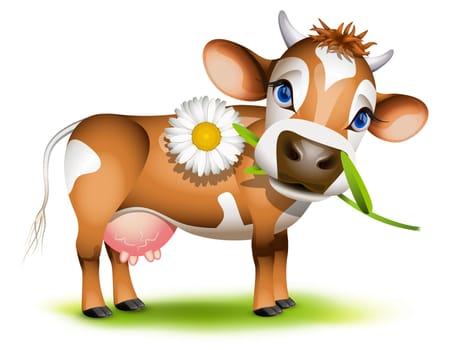 Little Jersey cow eating daisy