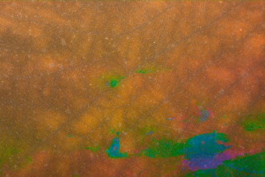 Texture of a green leaf as background