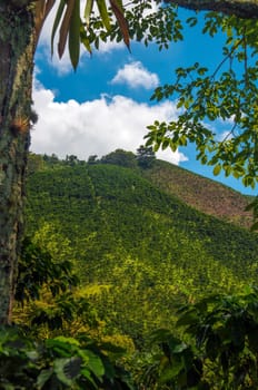A view of the landscape in Colombia&#039 s coffee producing region.