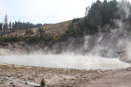 Yellowstone Grand Tetons