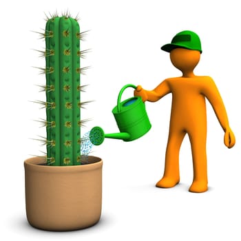 Orange cartoon character watering a big cactus, San Pedro, on the white background.