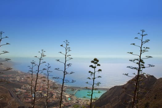 Aerial view Santa Cruz de la Palma with agave cactus in canary Islands