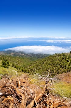 La Palma Caldera de Taburiente sea of clouds in canary Islands