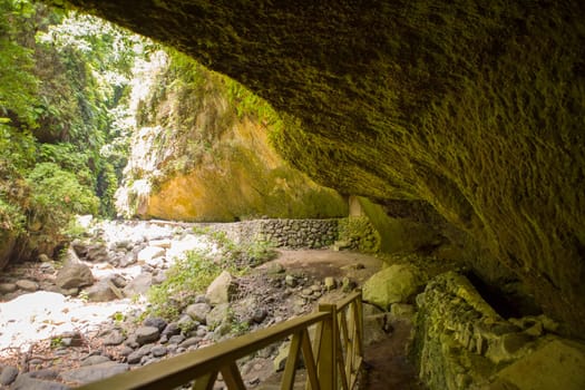Los Tilos Laurisilva cave in La Palma laurel forest at Canary Islands