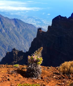 Caldera de Taburiente in Roque Muchachos at La Palma Canary Island