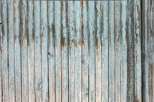 Vintage or grungy white background of natural wood or wooden old texture as a retro pattern wall.