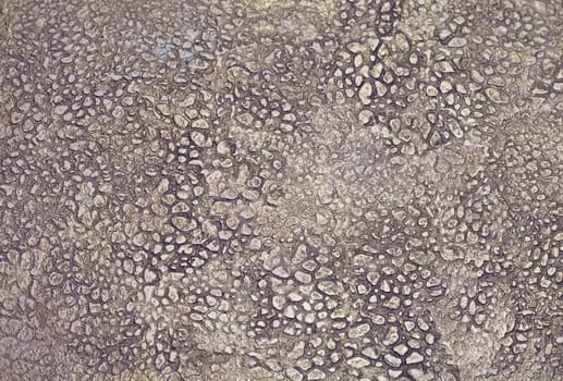 The Background from high detailed fragment stone wall