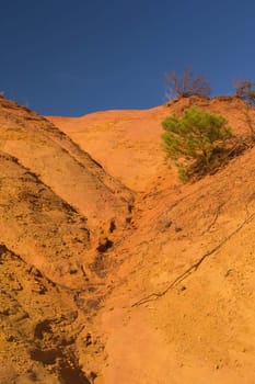 Tree growing on an orange ocher hills and blue sky in the background. Ocher rocks (French Colorado) near Rustrel (Provence, Southern France)