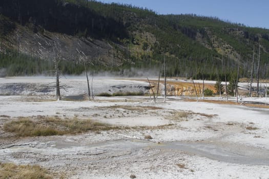 Yellowstone Grand Tetons Geyser