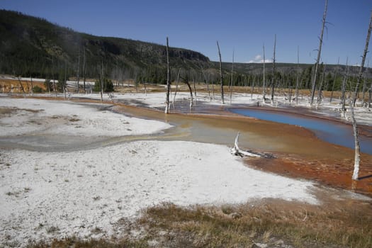 Yellowstone Grand Tetons Geyser
