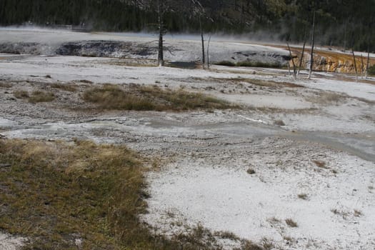 Yellowstone Grand Tetons Geyser