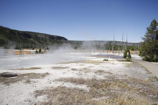 Yellowstone Grand Tetons Geyser