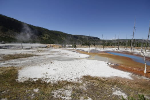 Yellowstone Grand Tetons Geyser