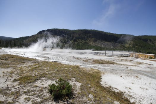 Yellowstone Grand Tetons Geyser