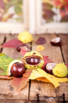 Chestnuts