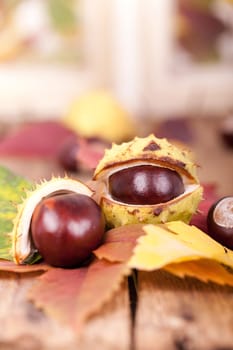 Chestnuts