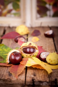 Chestnuts