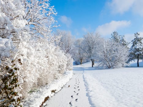 Footprints line a walkway covered in fresh snow