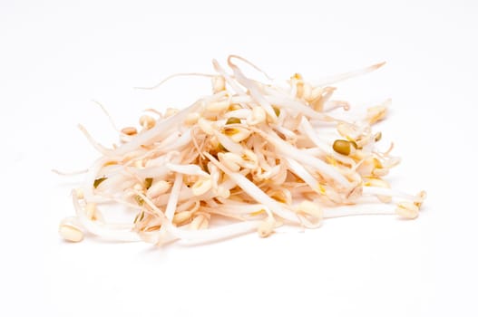 Bean sprouts on white background