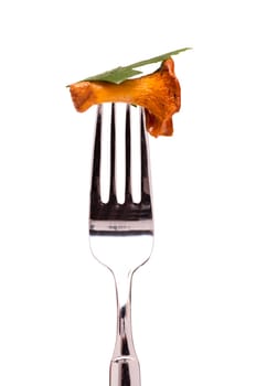 Chanterelle and parsley on a fork