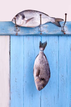 Sea bream royal