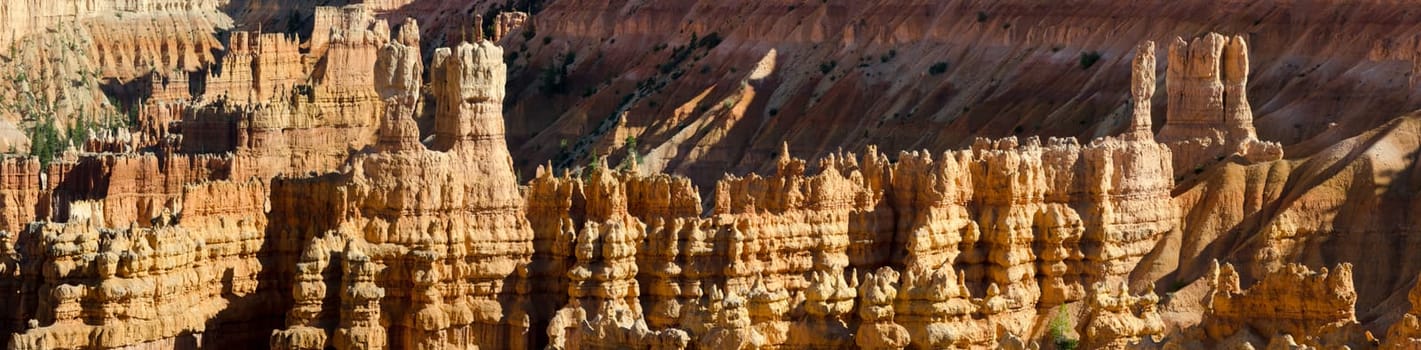 overview in Bryce Canyon in Utah in the United States of America