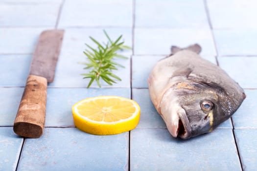 Sea bream royal