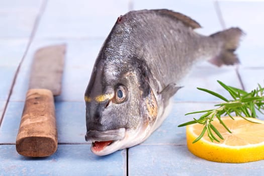 Sea bream royal