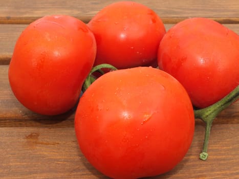 tomatoes