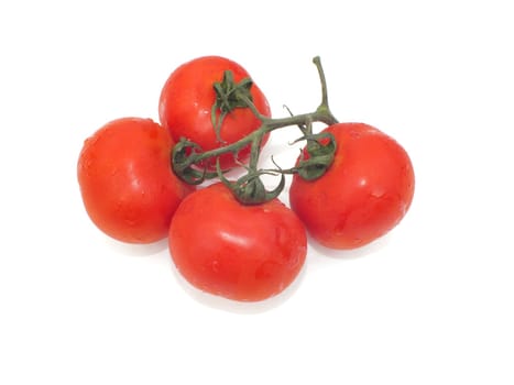 tomatoes