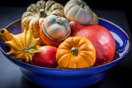 Pumpkins in the bowl on dark background