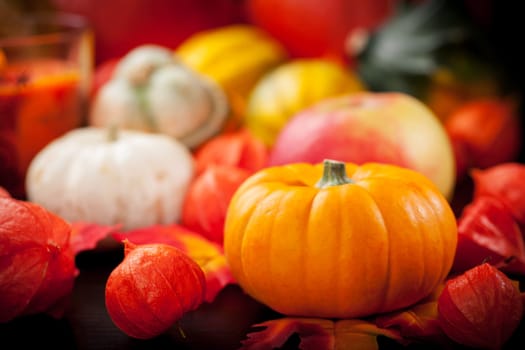 Happy Thanksgiving - pumpkins and apples for Thanksgiving