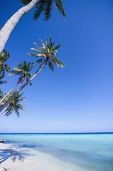 time for holidays at a lonely paradise beach