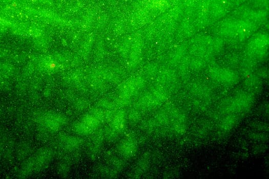 natural green background with selective focus