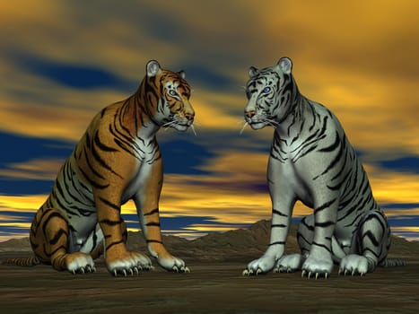 Two tigers, orange and white, sitting face to face in the desert with cloudy sky