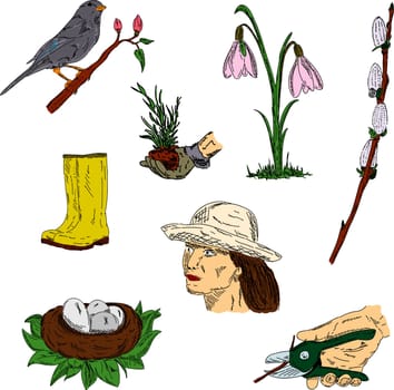 vector - set of spring in the garden