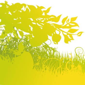 Blades of grass and fallen fruit from the apple tree