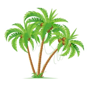 Three cartoon coconut palms.  Illustration on white background